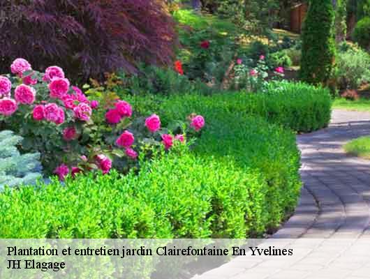 Plantation et entretien jardin  78120