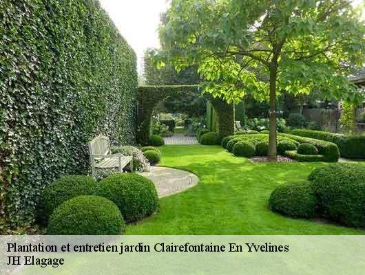 Plantation et entretien jardin