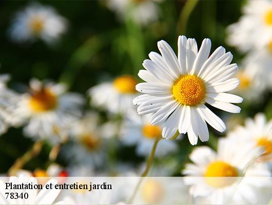Plantation et entretien jardin  78340