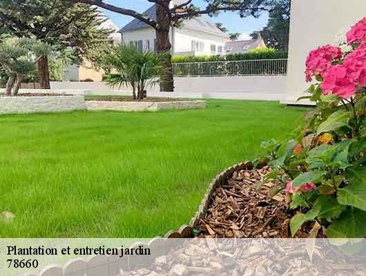 Plantation et entretien jardin  78660