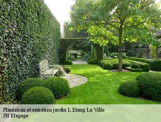 Plantation et entretien jardin