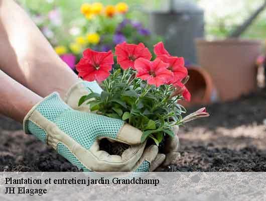 Plantation et entretien jardin  grandchamp-78113 JH Elagage