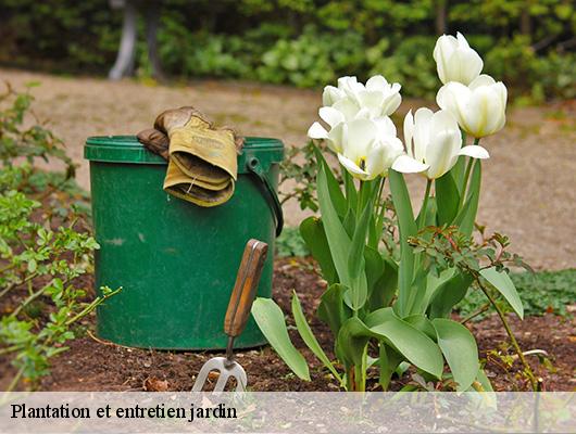 Plantation et entretien jardin 78440