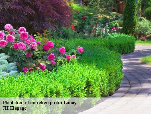 Plantation et entretien jardin  78520