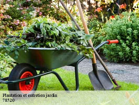 Plantation et entretien jardin  78520