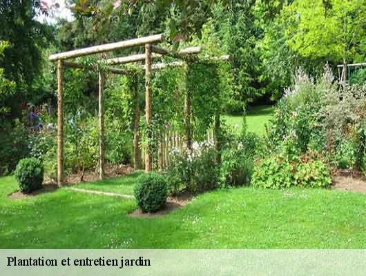 Plantation et entretien jardin