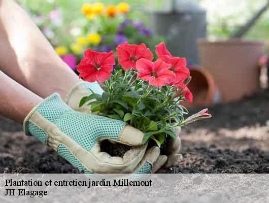 Plantation et entretien jardin  millemont-78940 JH Elagage