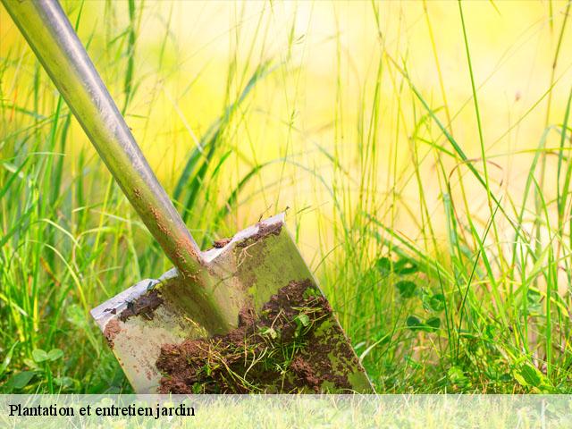 Plantation et entretien jardin