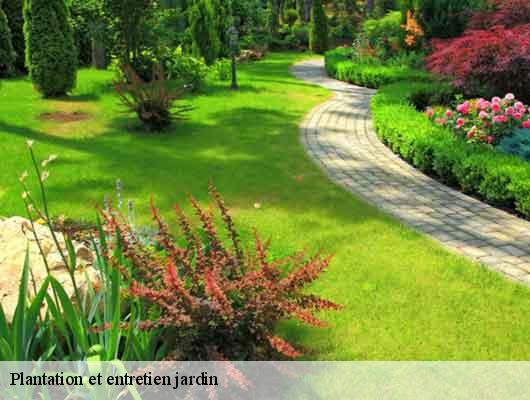 Plantation et entretien jardin
