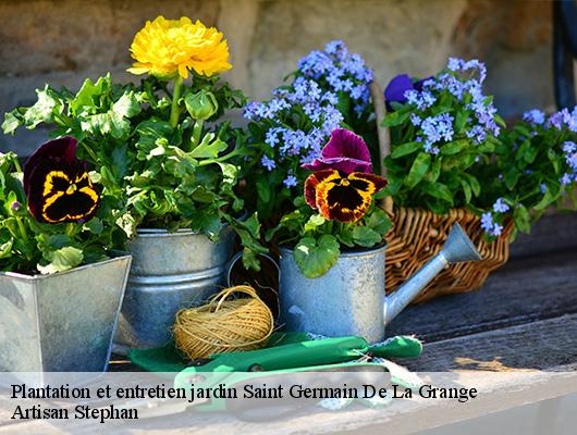 Plantation et entretien jardin