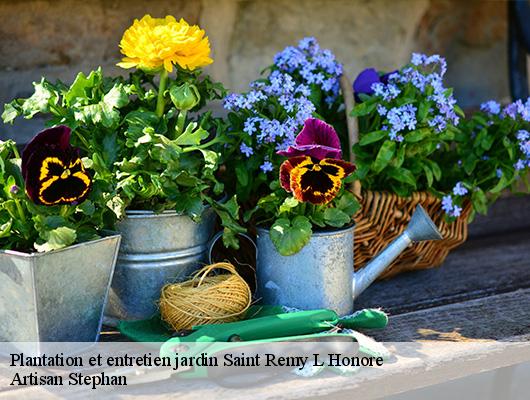 Plantation et entretien jardin