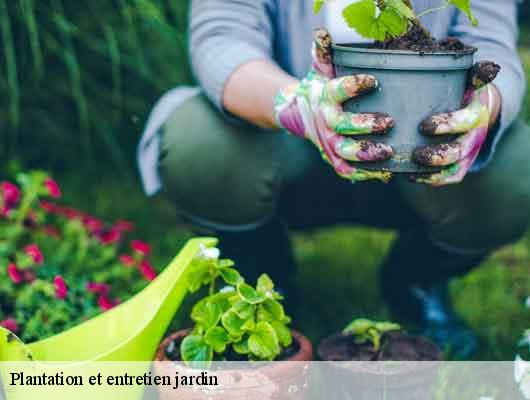Plantation et entretien jardin  78670