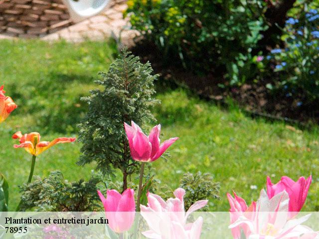 Plantation et entretien jardin 78955