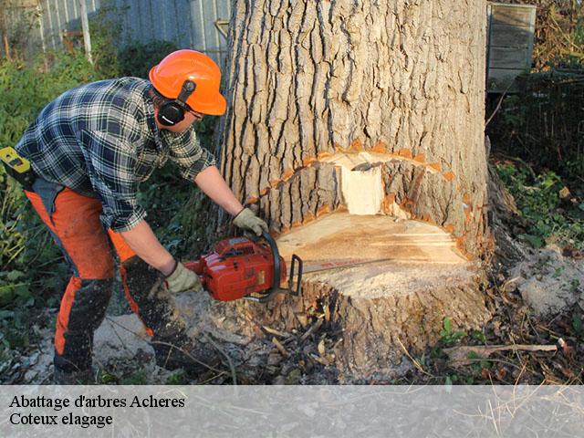 Abattage d'arbres  acheres-78260 Coteux elagage