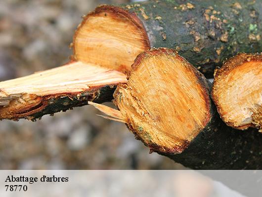 Abattage d'arbres