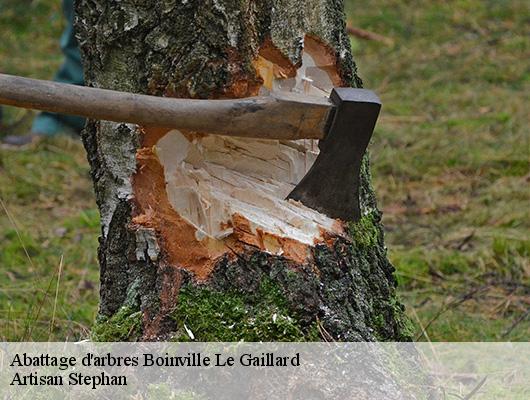 Abattage d'arbres  78660