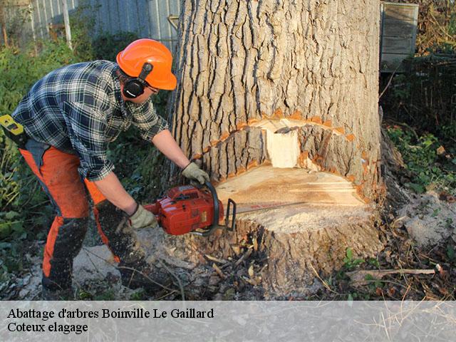 Abattage d'arbres boinville-le-gaillard-78660 Coteux elagage