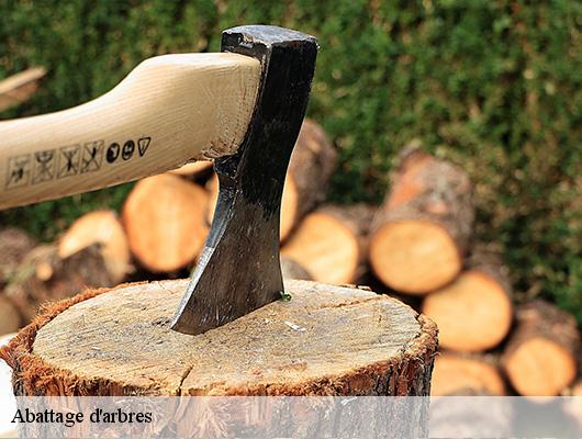 Abattage d'arbres