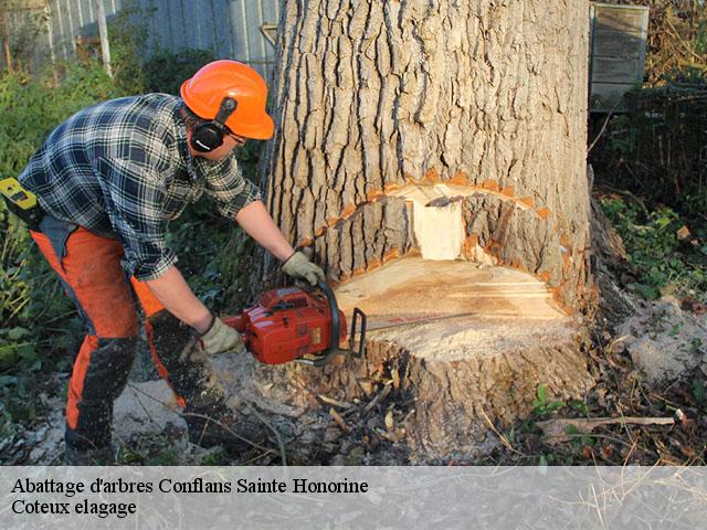 Abattage d'arbres  conflans-sainte-honorine-78700 Coteux elagage