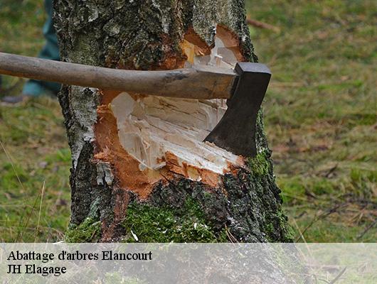 Abattage d'arbres  78990