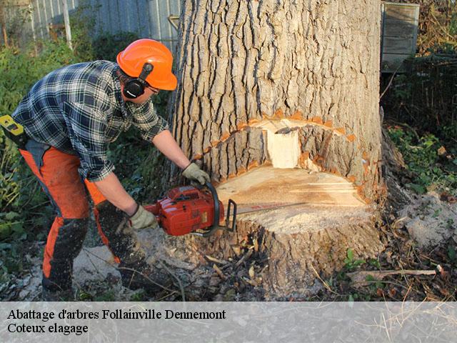 Abattage d'arbres  follainville-dennemont-78520 Coteux elagage