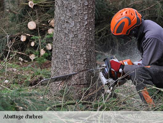 Abattage d'arbres  78125