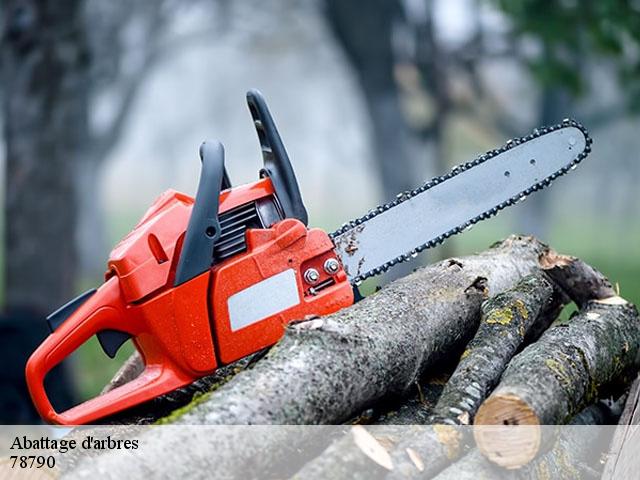 Abattage d'arbres 78790