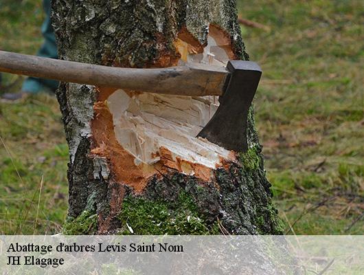 Abattage d'arbres  78320