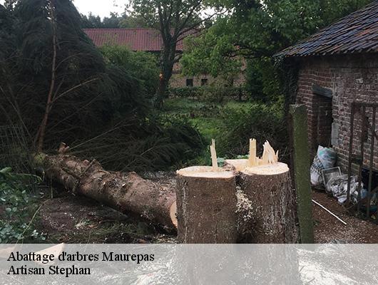 Abattage d'arbres maurepas-78310 Artisan Stephan