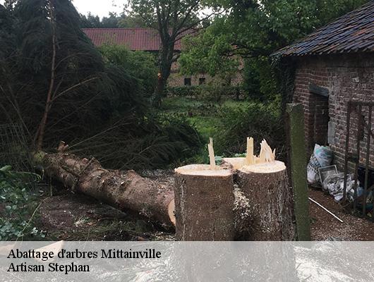Abattage d'arbres  mittainville-78125 Artisan Stephan