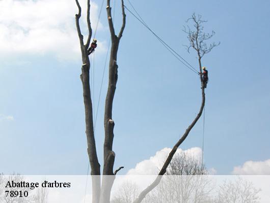 Abattage d'arbres  78910