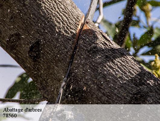 Abattage d'arbres  78560