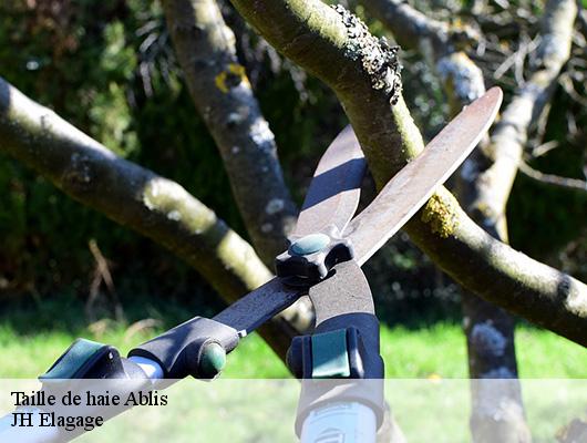 Taille de haie