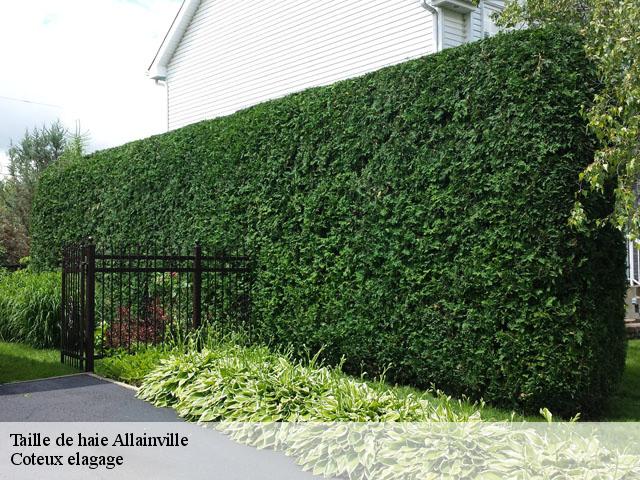 Taille de haie  allainville-78660 Coteux elagage