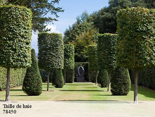 Taille de haie  78450