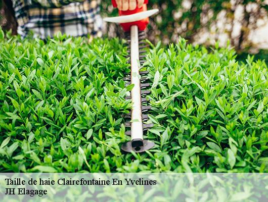 Taille de haie  clairefontaine-en-yvelines-78120 JH Elagage