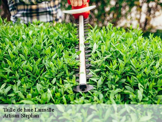 Taille de haie  lainville-78440 Artisan Stephan
