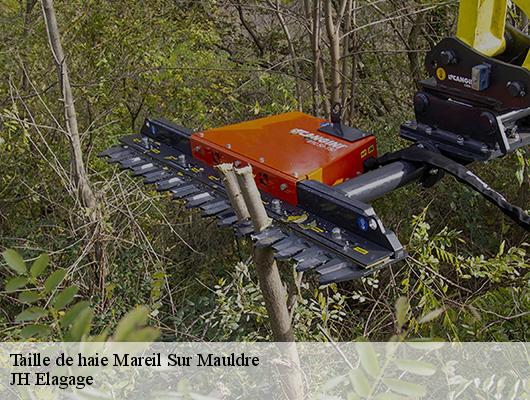 Taille de haie  78124