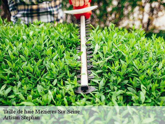 Taille de haie  mezieres-sur-seine-78970 Artisan Stephan