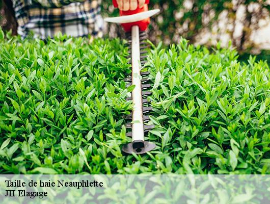 Taille de haie  neauphlette-78980 JH Elagage