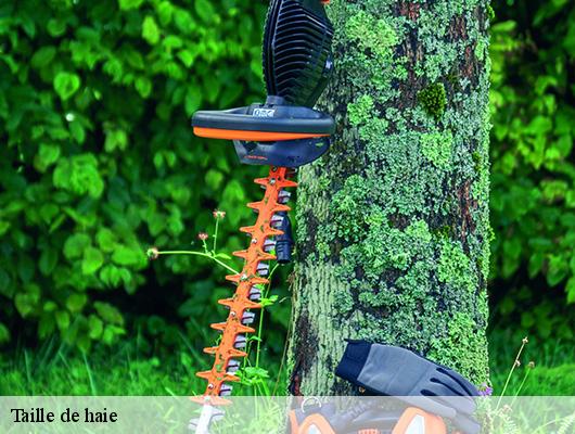 Taille de haie