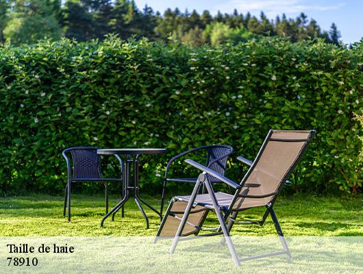 Taille de haie