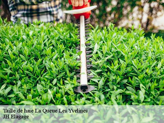 Taille de haie  la-queue-les-yvelines-78940 JH Elagage
