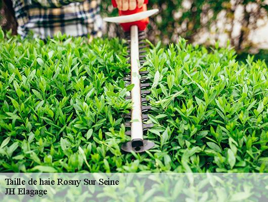 Taille de haie  rosny-sur-seine-78710 JH Elagage