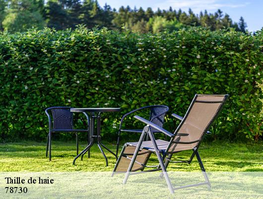 Taille de haie