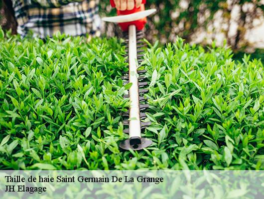 Taille de haie  saint-germain-de-la-grange-78640 JH Elagage