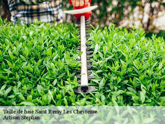 Taille de haie  saint-remy-les-chevreuse-78470 Artisan Stephan
