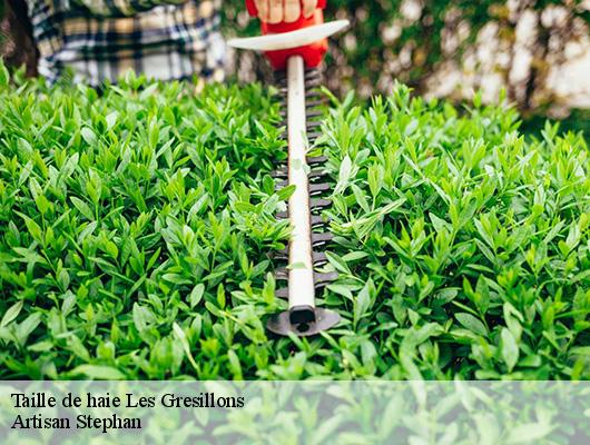 Taille de haie  les-gresillons-78955 Artisan Stephan