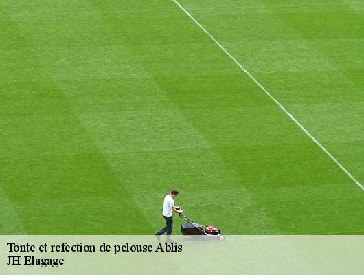Tonte et refection de pelouse  78660