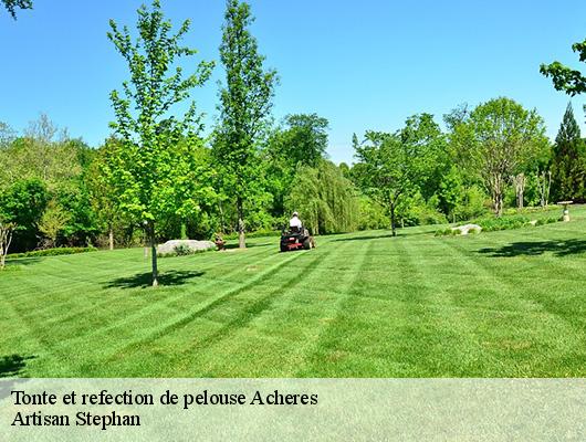 Tonte et refection de pelouse
